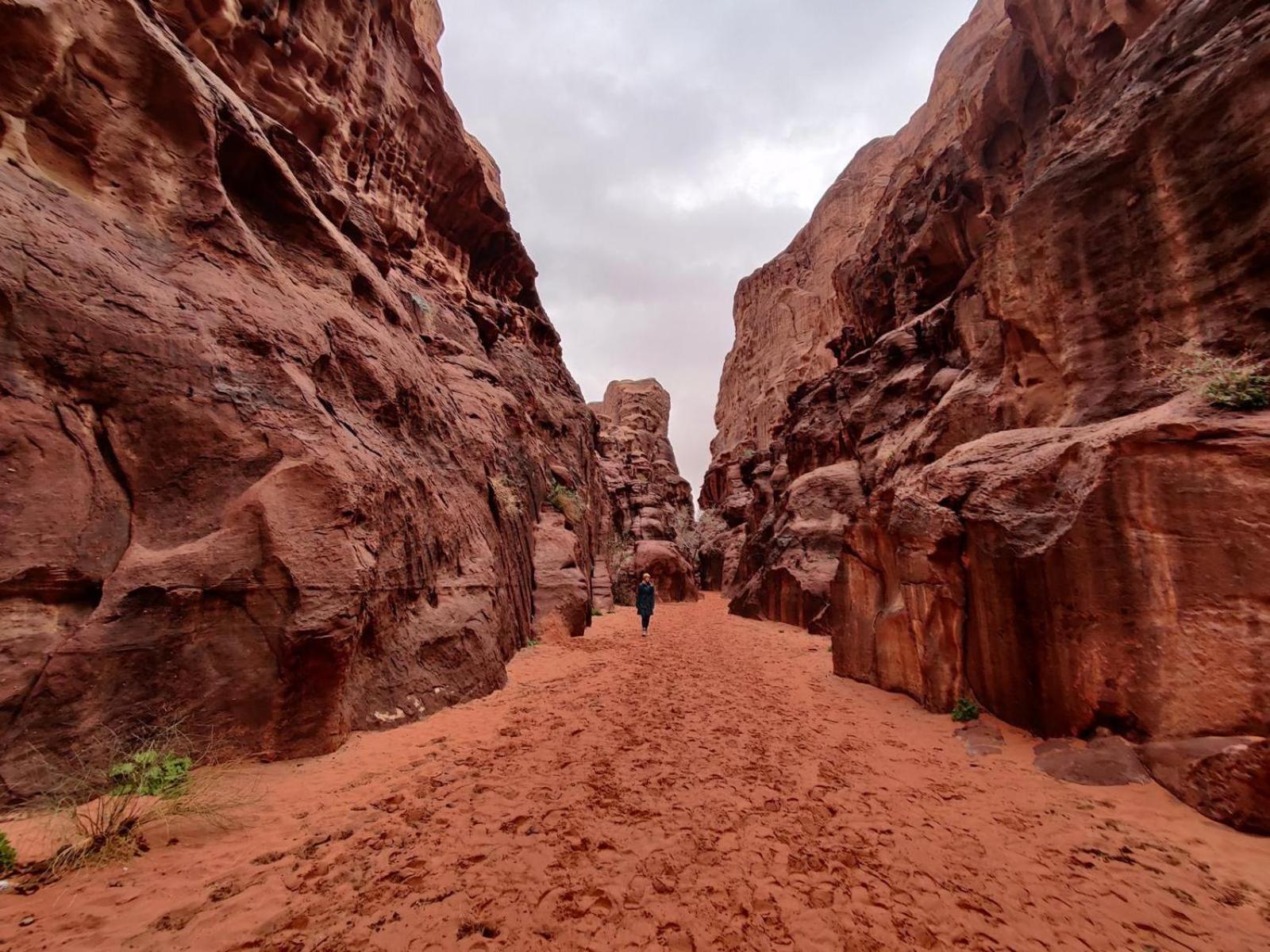 WadiRum Star Planet albasli Wadi Rum Bagian luar foto